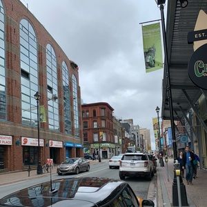 Meet your Posher, Lizzie